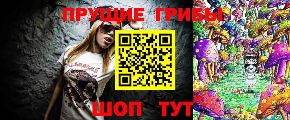 Псилоцибиновые грибы мицелий Приморско-Ахтарск
