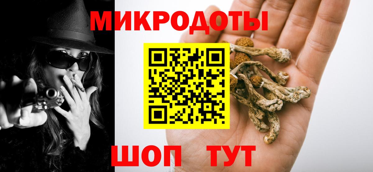 Приморско-Ахтарск  Псилоцибиновые грибы Magic Shrooms  Вход с VPN 